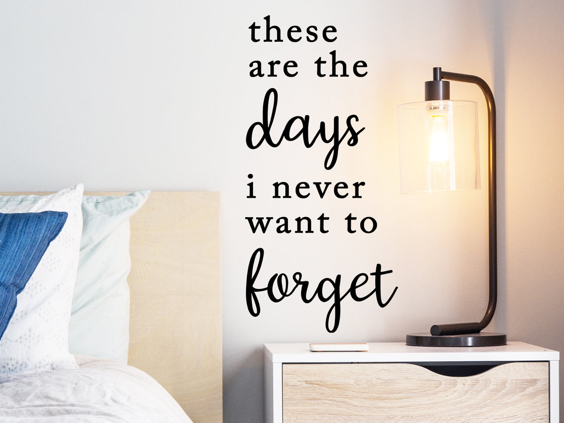 These Are The Days I Never Want To Forget, Bedroom Wall Decal, Master Bedroom Wall Decal, Vinyl Wall Decal